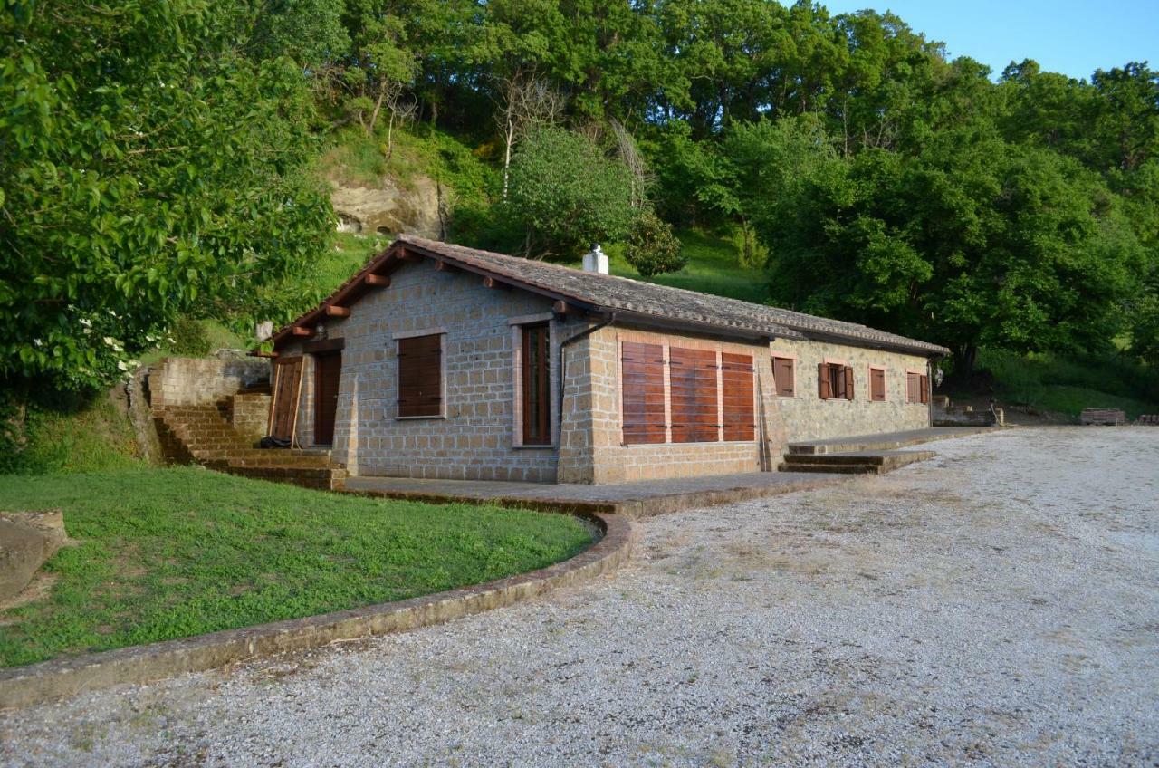Apartamento Casa Sorgente Montefiascone Exterior foto