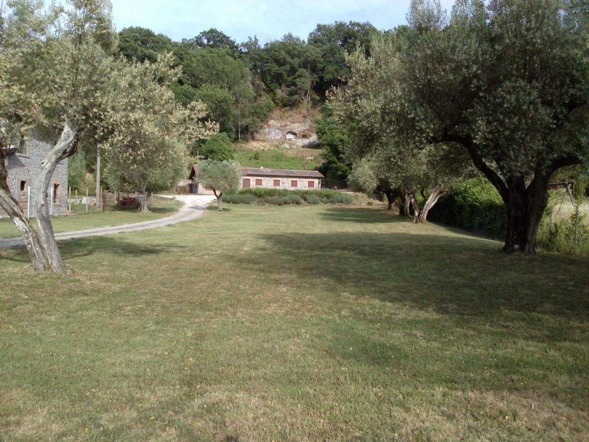 Apartamento Casa Sorgente Montefiascone Exterior foto